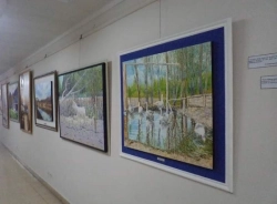 Cuadros en exposición - Sergio Caffarena